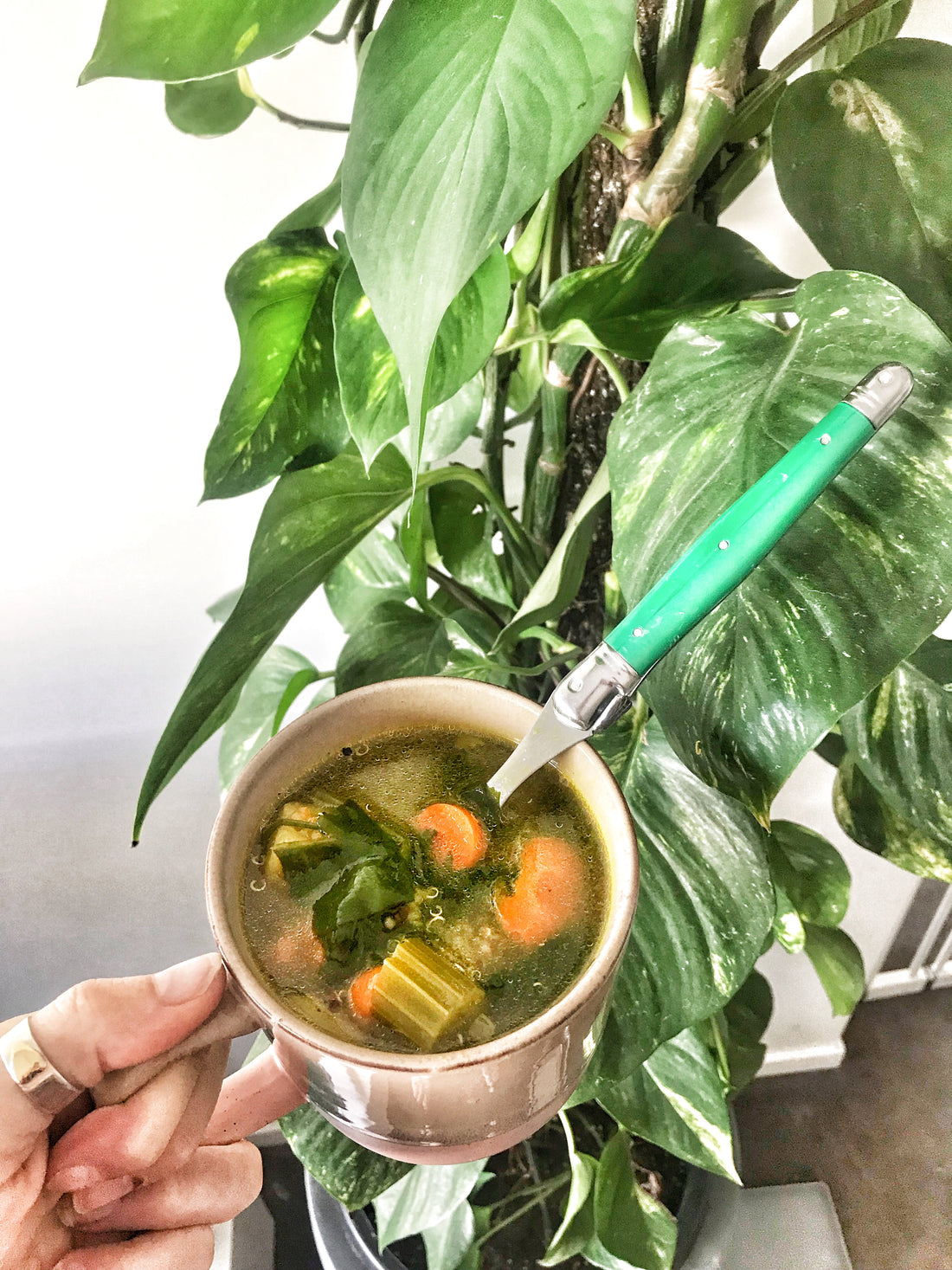 Hormone-healing, Flu-fighting veggie broth