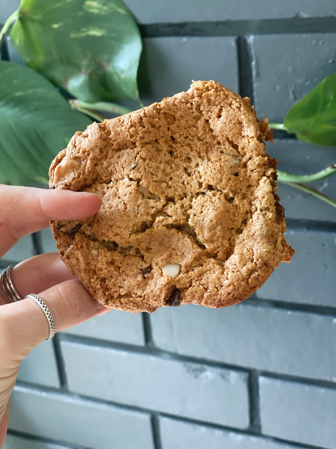 HEALTHY VEGAN CHEWY CHOC CHIP AND MACADAMIA SUPERFOOD COOKIES