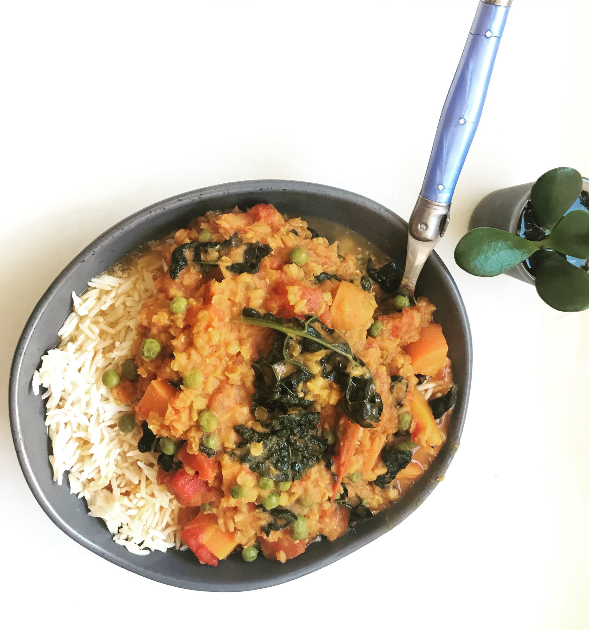 My Easy 'Go To' Anti-Inflammatory Lentil and Veggie Curry