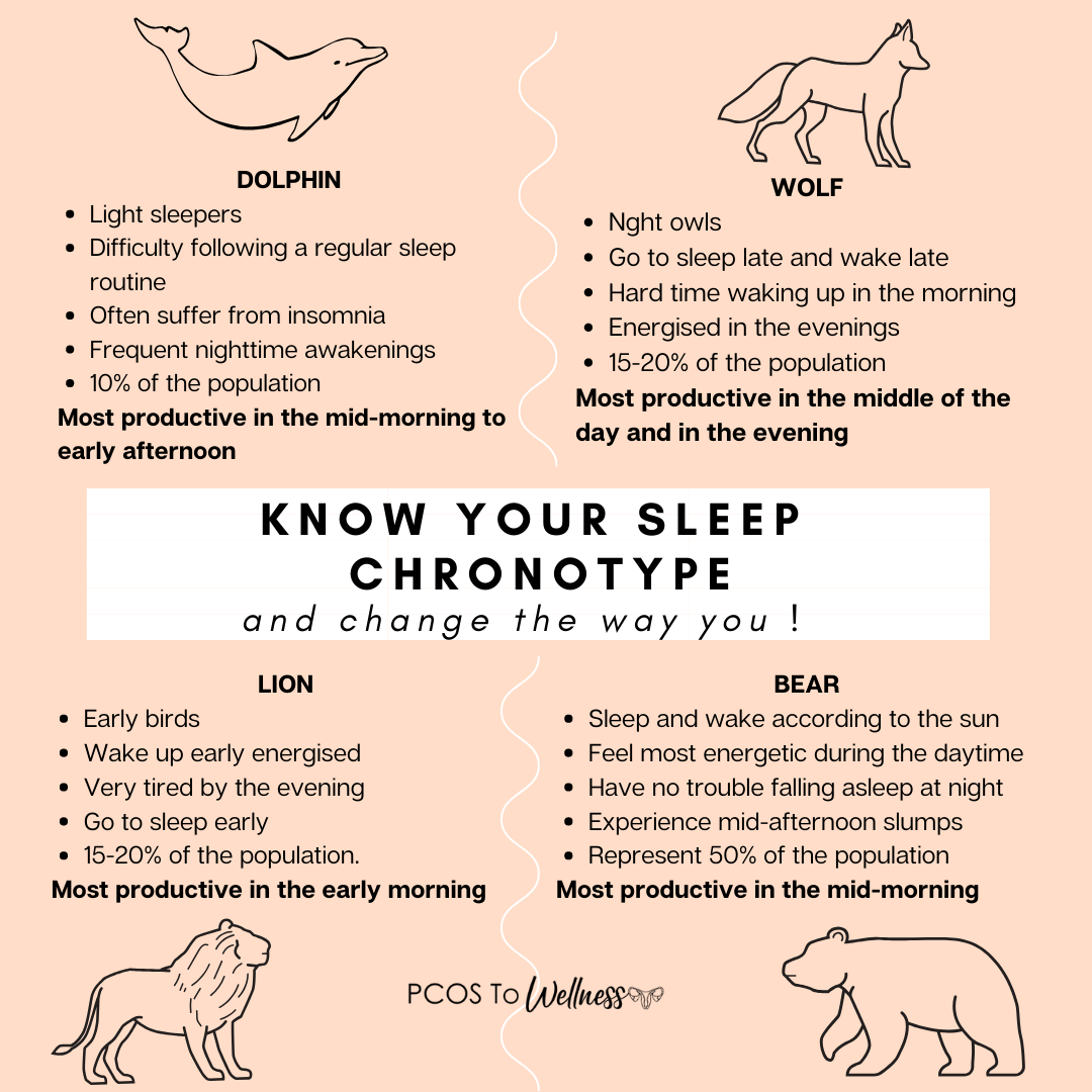 Whats is your sleep chronotype, and how can it help you to increase your productivity?
