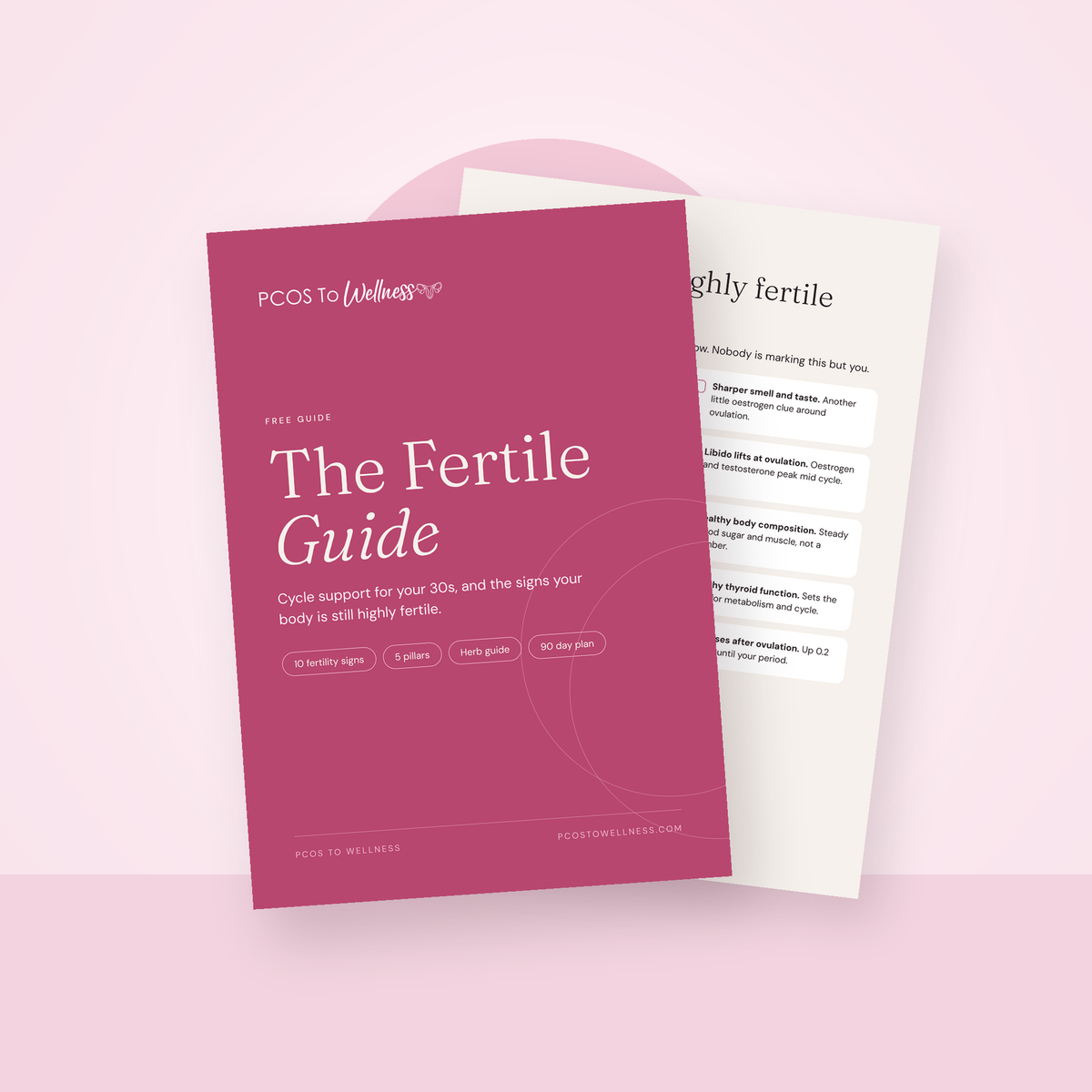 The Fertile Guide: Cycle Support for Your 30s (FREE)